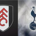 Fulham vs Tottenham 2